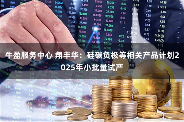 牛盈服务中心 翔丰华：硅碳负极等相关产品计划2025年小批量试产
