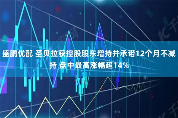 盛鹏优配 圣贝拉获控股股东增持并承诺12个月不减持 盘中最高涨幅超14%